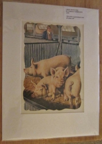 Charles tunnicliffe large - charles, `large