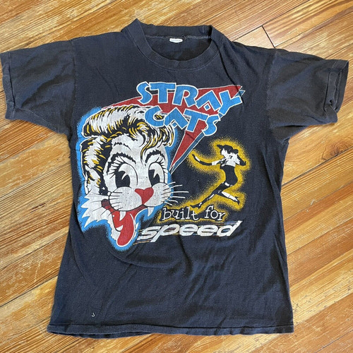 Stray cats built for - cats,
