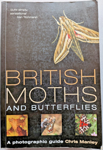 British moths and - british, butterflies