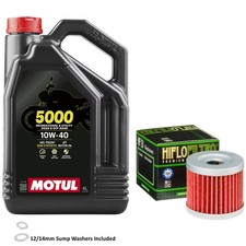 GS 125 Drum Oil and Filter Kit