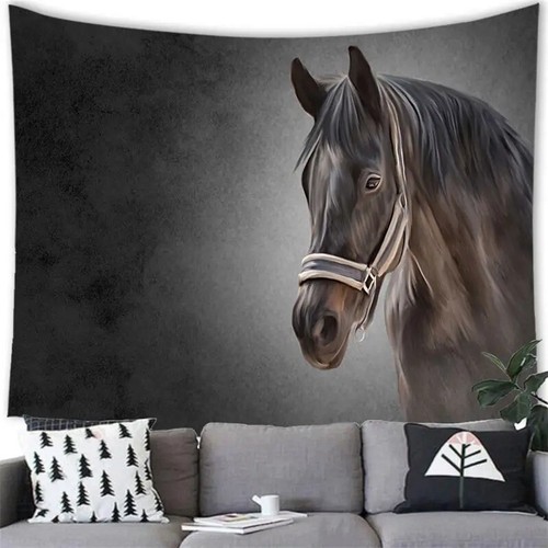 Horses brown black animal - horses,