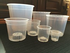 Clear Orchid Plastic Flower