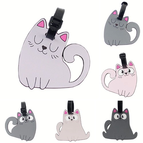 Kitten cats animal pet - animal, fashion