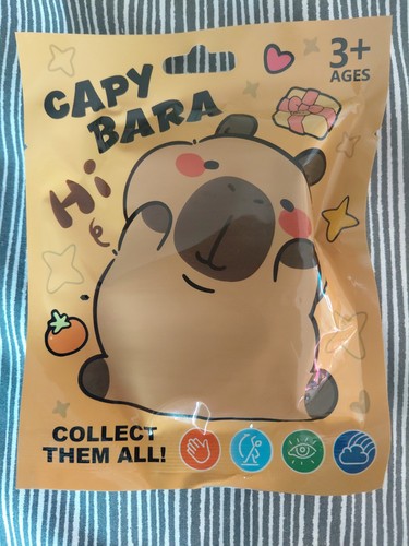 Mystery capybara blind - mystery, bag