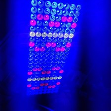 Growing Light Bestva DC Series