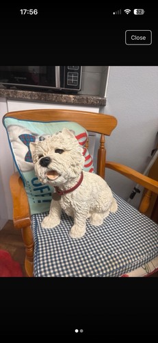 Westie west highland terrier - westie,