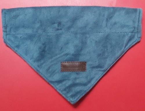 Pet dog bandana slide - pet, on