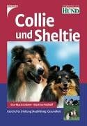 Collie und sheltie - und,