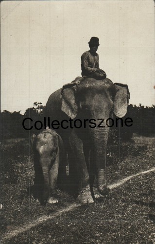 Singapore elephant and - , rider