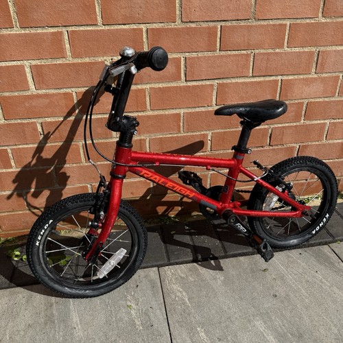 Raleigh kids mtb - kids,