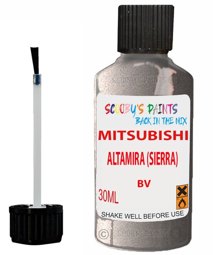 Silver touch piant for - touch, up
