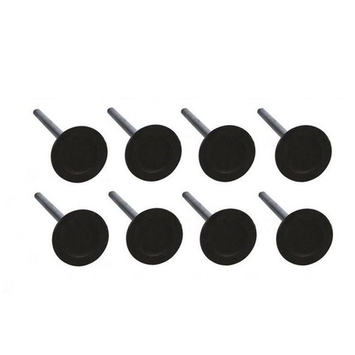 Exhaust valve kit for - exhaust,