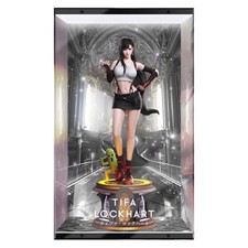 Dedicated Acrylic Case Pps