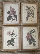 OKA Set of 4 Botanical Prints