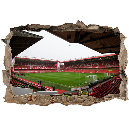 Nottingham forest city ground - forest,