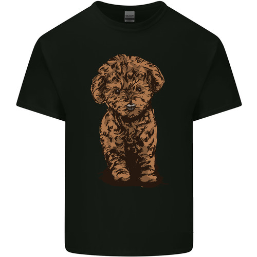 Dogs cute labradoodle - labradoodle, puppy