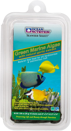 Seaweed green 30g - o.n,