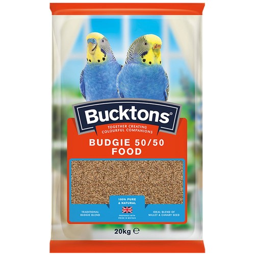 Bucktons budgie bird - bucktons,