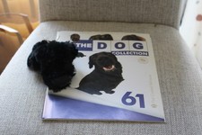No. 61 Flat Coated Retriever