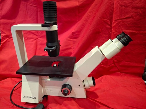 Zeiss axiovert 25c inverted - axiovert,