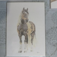 A4 Limited Edition Horse Print
