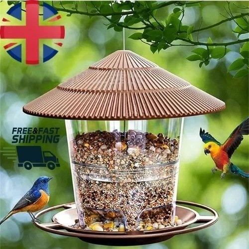 Hanging wild bird - hanging,
