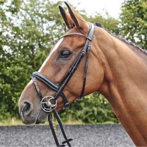 John whitaker barton bling - john,
