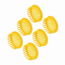 Bee king incubator 6pcs queen - bee,