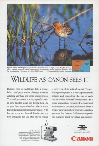 Vintage 1995 canon 60uvi - vintage,