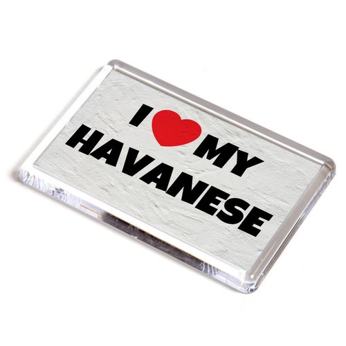 Fridge magnet love - fridge,