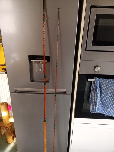 Fishing rod - fishing,