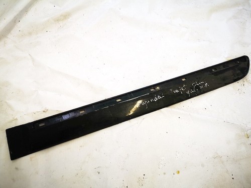 Hyundai trajet 2000 molding - 2000,