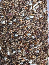 Bullfinch seed mix, Premium
