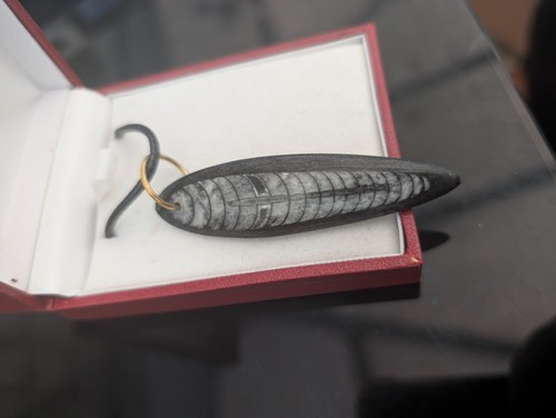 Orthoceras fossil pendant - orthoceras,