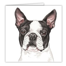 Boston Terrier greetings card