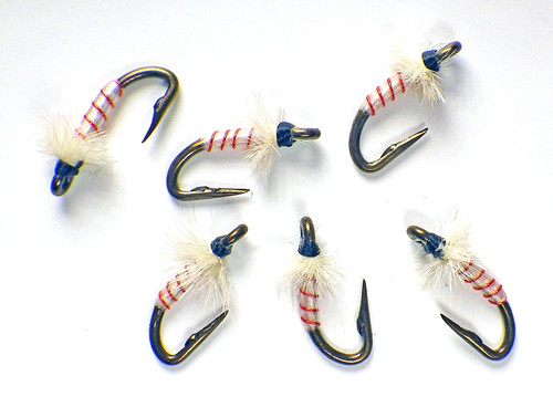 Candy cane nymphs fryingpan - nymphs,
