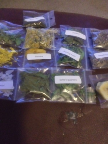 Land hermit crab food - hermit, food/treat's