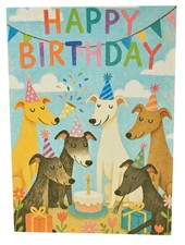 Cute Greyhound Whippet Lurcher