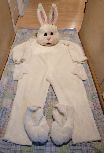 Professional easter bunny - professional,