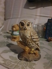 Snowy Owl By Andrea Vintage