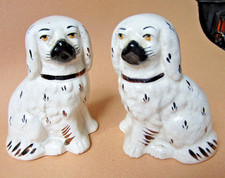Pair of Spaniel Dogs