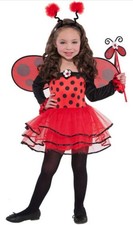 Kids Ladybird Fairy Costume