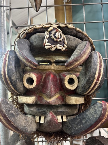 Large west african - large, senufo