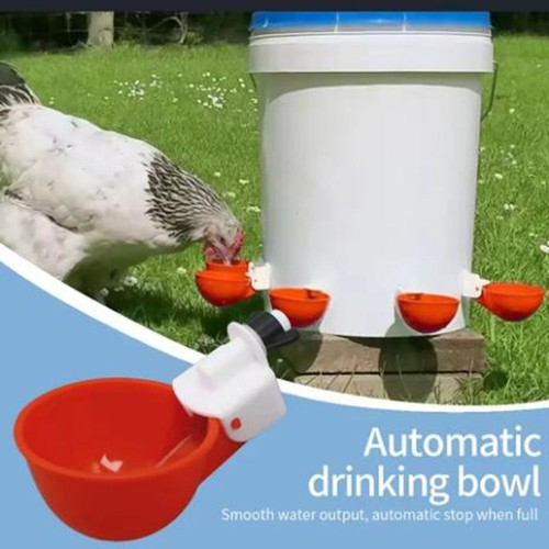 8pcs chicken poultry drinker - poultry,