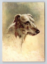 Animals, Dogs: The Deerhound. Unposted Postcard.