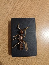Brown Ant Brooch Insect Brooch