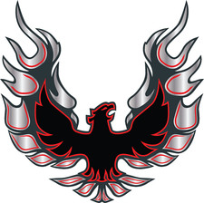 Pontiac Firebird Trans Am Year