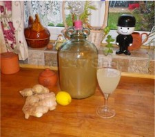 Ginger beer making kit - making,