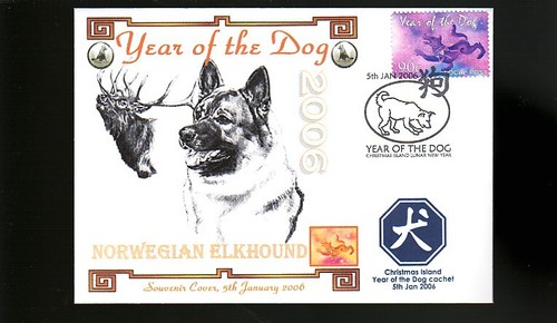 Norwegian elkhound 2006 i - elkhound,