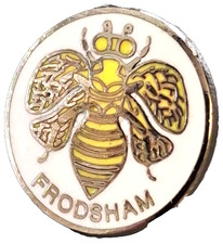 Frodsham Village Small Pin